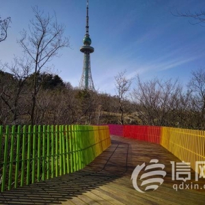 青島深化辦實(shí)事解難題工作 營(yíng)造四季如春城市管理環(huán)境