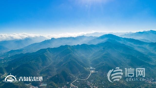 青島國(guó)際種都核心區(qū)構(gòu)建種業(yè)高地 即墨區(qū)助推青島建設(shè)農(nóng)業(yè)強(qiáng)市