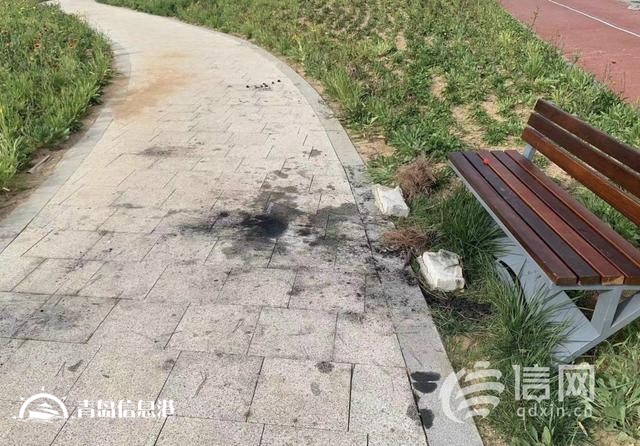 靈山衛(wèi)前海私搭帳篷還篝火燒烤 街道提醒游客文明游玩