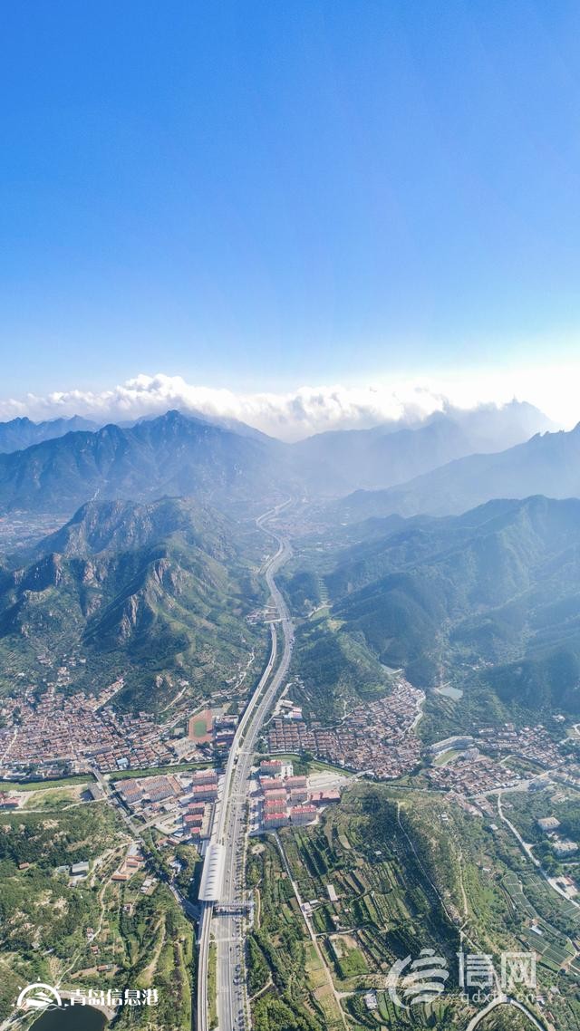 山東出臺跨境電商躍升發(fā)展行動計劃 青島邁向貿(mào)易強(qiáng)市再添新動力