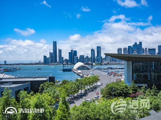 百舸爭流彰顯海洋宜人之城魅力 青島國際帆船周打造精彩盛會