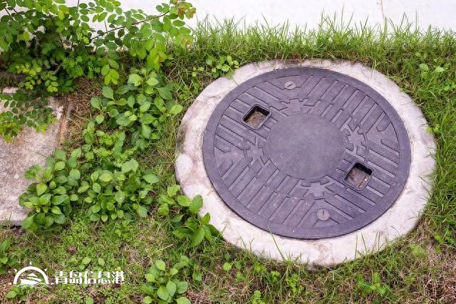 假如“信網(wǎng)不信訪”的阮主任舉報內(nèi)容屬實，對人民的傷害有哪些？
