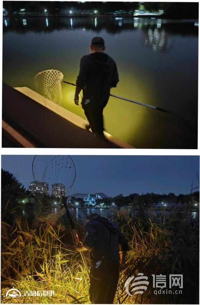 在人工湖捕魚還用上“射魚鏢” 李村公園的這一幕不安全還違禁