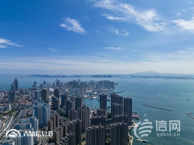 向“新”而行增強(qiáng)發(fā)展新動能 青島新質(zhì)生產(chǎn)力加速起勢
