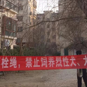 牽好“安全繩”！李園街道綜合行政執(zhí)法中隊持續(xù)開展文明養(yǎng)犬專項整治行動 ...