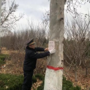 擦亮城市容顏  綜合治理鎮(zhèn)容鎮(zhèn)貌