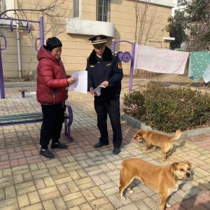 同和執(zhí)法中隊(duì)開展“文明養(yǎng)犬”執(zhí)法巡查工作 促進(jìn)“人犬和諧共處” ...
