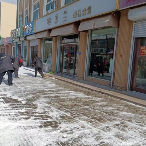 南村執(zhí)法中隊(duì)清掃積雪在行動(dòng)！