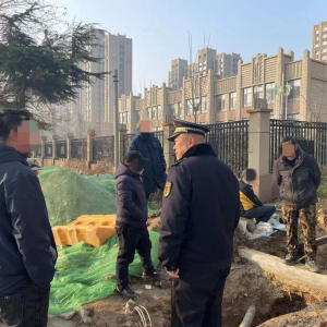 毀綠行為不可取，綜合執(zhí)法護綠色