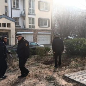 平度市東閣街道執(zhí)法中隊(duì)集中整治占綠毀綠，營造整潔、美好的人居環(huán)境 ...