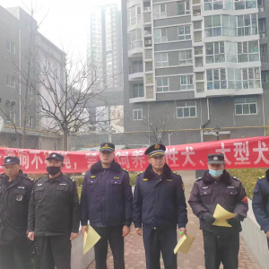 李園街道綜合行政執(zhí)法中隊(duì)：加強(qiáng)犬只管理，營造和諧氛圍