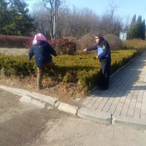 同和執(zhí)法中隊(duì):“嚴(yán)格執(zhí)法，守護(hù)綠色家園”園林綠化執(zhí)法巡查工作 ...