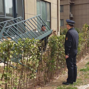 還綠于民 鳳臺執(zhí)法中隊開展聯(lián)合整治圈占公共綠地行為