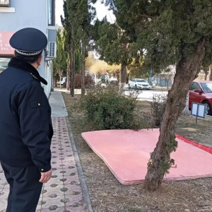 平度市東閣街道執(zhí)法中隊整治占綠毀綠，守護美好家園