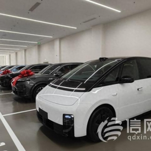 理想MEGA遭惡意調(diào)侃銷量不佳？銷售：每天都有車主提車