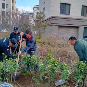 小區(qū)綠化的守護者：同和執(zhí)法中隊“春季護綠行動”