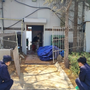 平度市東閣街道執(zhí)法中隊：隨意損壞植被，罰