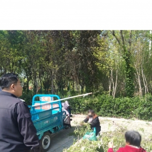 平度市東閣街道執(zhí)法中隊“信用+執(zhí)法”，呼吁廣大市民愛綠護綠 ...
