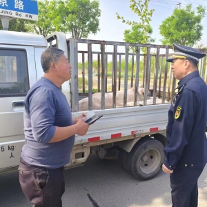 同和執(zhí)法中隊(duì)“信用+執(zhí)法”檢查生豬疫證