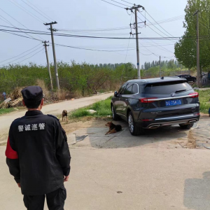 鳳臺(tái)執(zhí)法中隊(duì)：文明養(yǎng)犬，你我共行