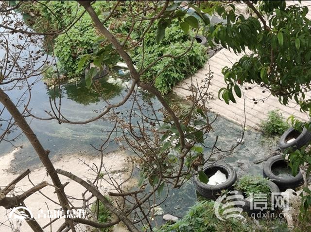 小區(qū)隔壁污水彌漫 臺(tái)東街道承諾將盡快協(xié)調(diào)更換管路