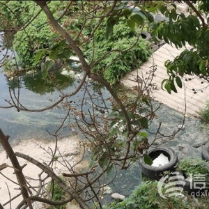小區(qū)隔壁污水彌漫 臺(tái)東街道承諾將盡快協(xié)調(diào)更換管路