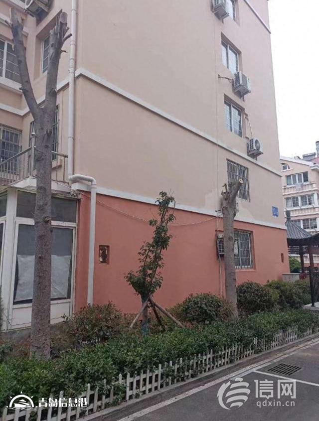 銀河山莊小區(qū)樹(shù)木被“剃光頭” 業(yè)主質(zhì)疑修剪太粗暴了