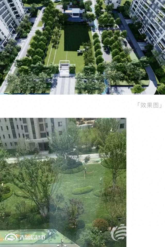 業(yè)主質(zhì)疑金茂府交付標(biāo)準(zhǔn)減配 開(kāi)發(fā)商將對(duì)綠化景觀(guān)提升