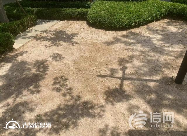 業(yè)主質(zhì)疑金茂府交付標(biāo)準(zhǔn)減配 開(kāi)發(fā)商將對(duì)綠化景觀(guān)提升