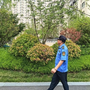 平度市東閣街道執(zhí)法中隊嚴(yán)查占綠毀綠，讓城市更美好