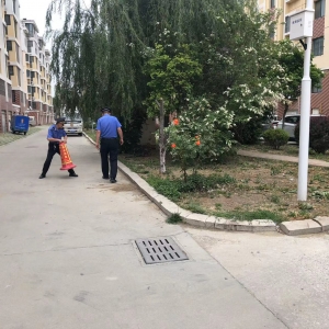 守護園林綠化：同和執(zhí)法中隊在行動