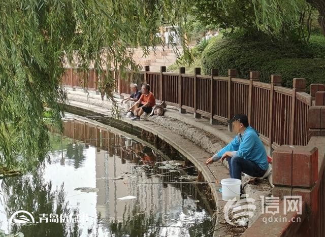 浮山后錦鯉湖欄桿破損 工作人員將加強(qiáng)巡視勸離垂釣者