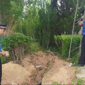 毀綠行為不可取，綜合執(zhí)法護綠色