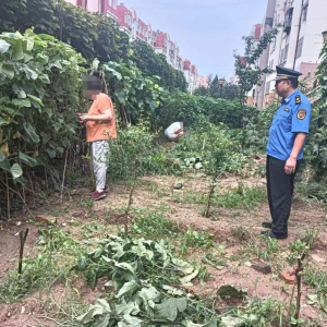 平度市東閣街道執(zhí)法中隊解決群眾訴求，多舉措整治占綠毀綠行為 ...
