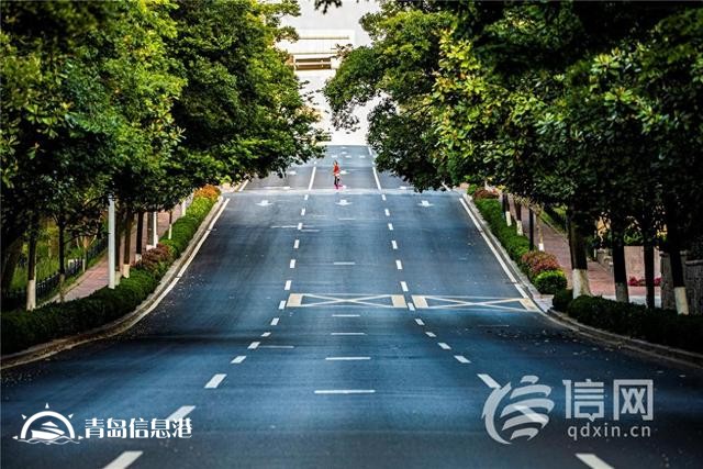 信號(hào)山：四大交通節(jié)點(diǎn)同日通車(chē) 青島高質(zhì)量發(fā)展換擋提速