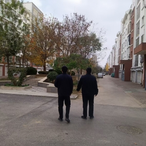 平度市東閣街道執(zhí)法中隊(duì)嚴(yán)厲打擊占綠毀綠，建設(shè)美麗宜居生態(tài)城市 ...