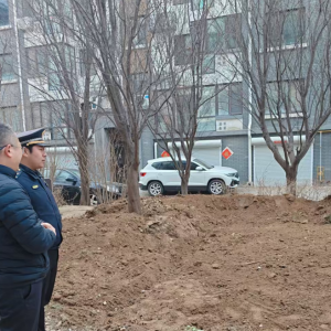 平度市東閣街道執(zhí)法中隊“信用+”整治占綠毀綠，守護綠色家園 ...