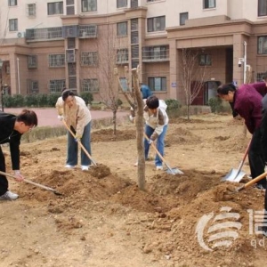 嶗山區(qū)金家?guī)X街道舉辦2025年義務(wù)植樹活動 共繪生態(tài)夢