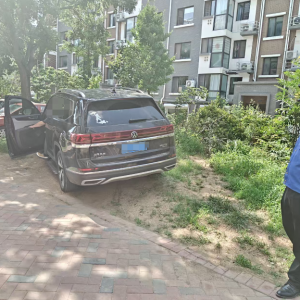 平度市東閣街道執(zhí)法中隊(duì)整治占綠毀綠亂象，維護(hù)公共利益